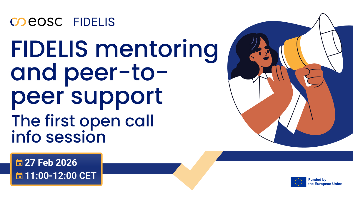 FIDELIS mentoring and peer-to-peer support programme